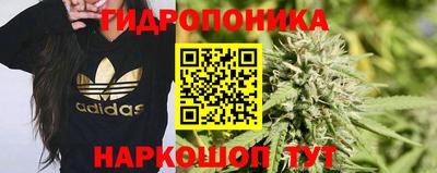 кристаллы Новозыбков