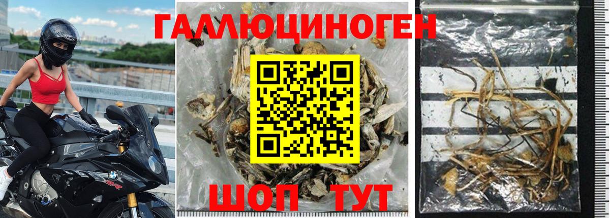 Галлюциногенные грибы прущие грибы  Вход с VPN  Галлюциногенные грибы мицелий  Топки 