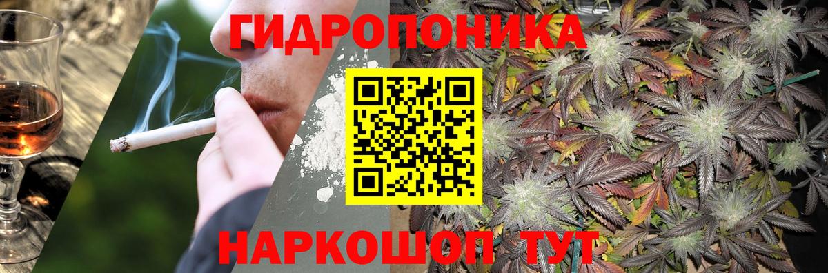 Бошки марихуана планчик  Вход с VPN  Бошки марихуана гибрид  Топки  Канабис LSD WEED 